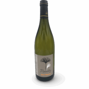 LOIRE REUILLY BLANC DOMAINE BIGONNEAU 2023