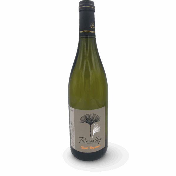 LOIRE REUILLY BLANC DOMAINE BIGONNEAU 2023