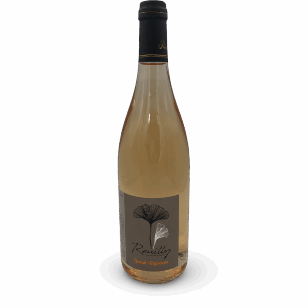 LOIRE REUILLY ROSE DOMAINE BIGONNEAU 2023
