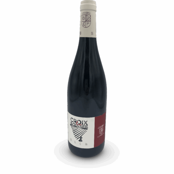 LOIRE "LA CROIX BOISSEE" CHINON ROUGE 2020 DOMAINE BEATRICE ET PASCAL LAMBERT