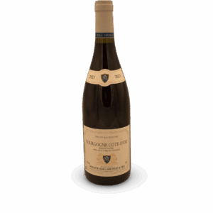 Bourgogne Côte d&rsquo;or Pinot noir 2023 Domaine Maillard Père & fils